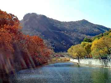 管家婆黑白马报图库，液压载货电梯